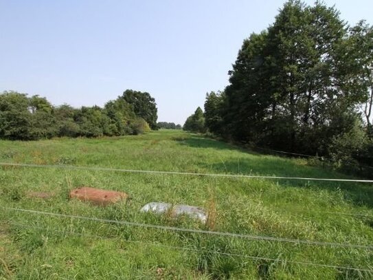 Kleiner Resthof bei Lensahn in ruhiger Lage auf 10.000 m²