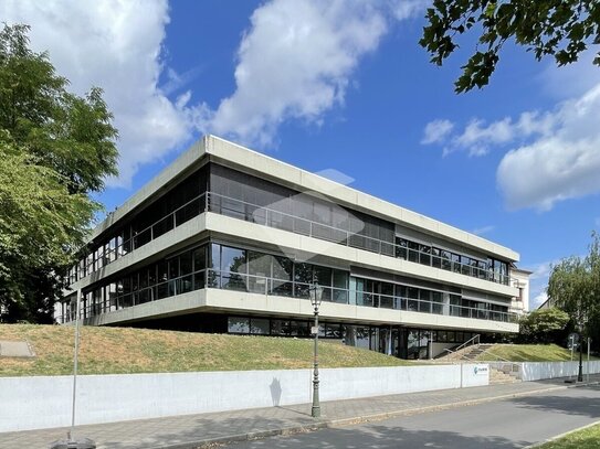 Moderne Büroflächen mit unverbaubarem Rheinblick