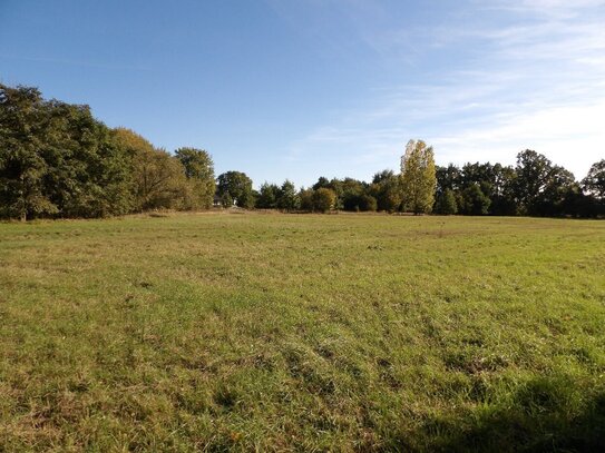 LANDWIRTSCHAFTLICHE NUTZFLÄCHE / ACKER ,GRANSEE/OT. ZIEGELSCHEUNE