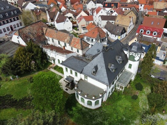 Bodenheim: Villa Liebrecht - Die besondere Residenz!