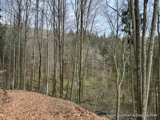 Naturnahe Investition: Waldgrundstück in Schaufling bietet langfristige Rendite und ökologische Wertsteigerung!