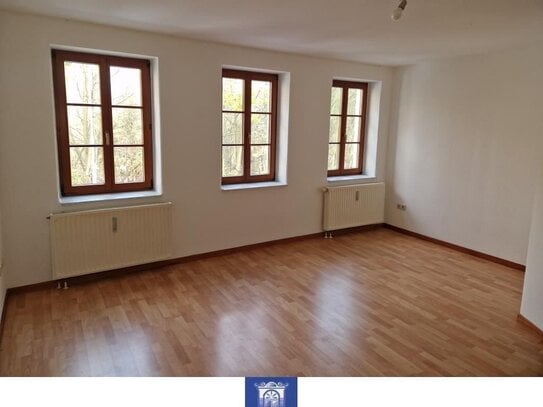 Gemütliche Singlewohnung mit Laminat und Tageslichtbad!