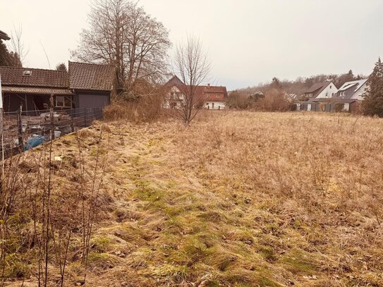 Baugrundstück für Mehrfamilienhausbebauung in 31812 Bad Pyrmont Holzhausen