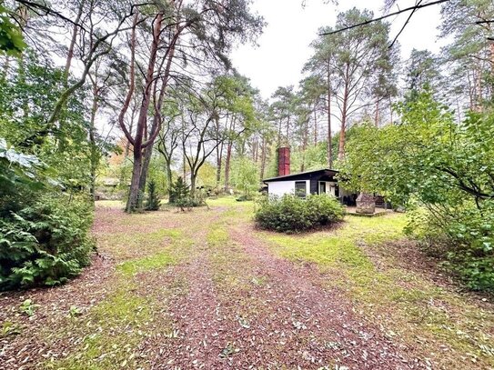 Wochenendbungalow in direkter Waldlage!