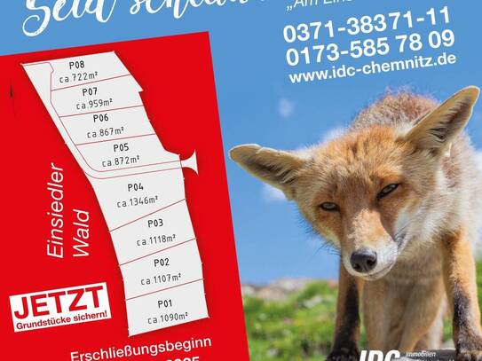 Kleines, feines Wohnbaugebiet am Einsiedler Wald in Chemnitz-Kleinolbersdorf