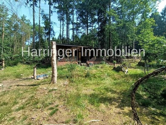 Wochenendhaus auf hellem Waldgrundstück!