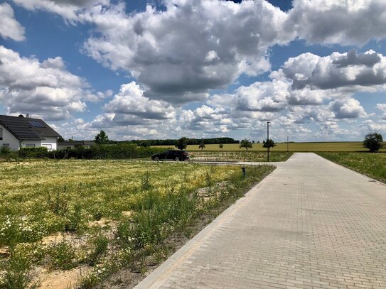 Großzügige Baugrundstücke mit Blick über Wiesen und Felder