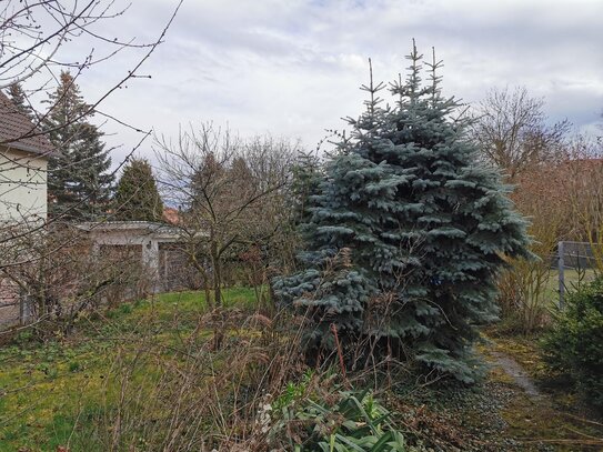 Großes Wohnbaugrundstück im Stadtgebiet von Apolda mit 872 m² Grundstücksfläche