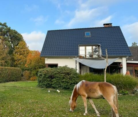 DIE PFERDE AM HAUS...... - perfektes Umfeld für Reiter !