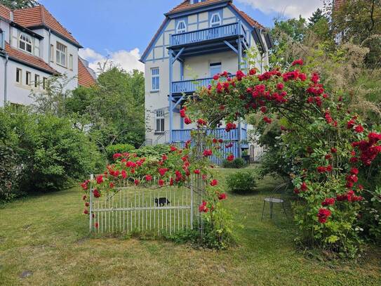 Stilvoll und modern! Kernsaniertes Einzel-Denkmal mit Rosengarten, Nähe Schloßplatz!