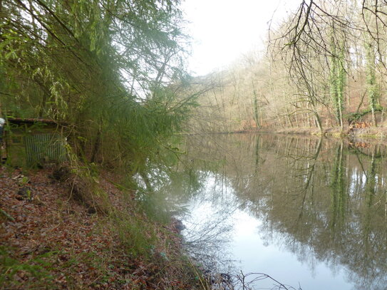 2 Fischteiche in Landschaftlich schöner Lage