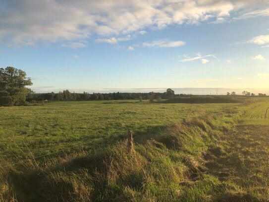 Wunderschöne Grundstücke in Völkshagen voll erschlossen und bauträgerfrei