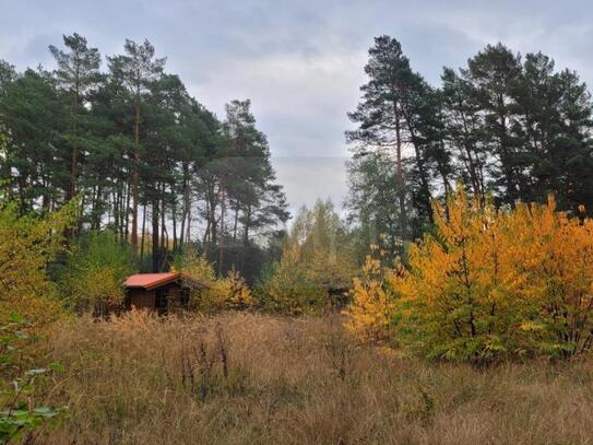 Großes Erholungsgrundstück in Borkheide