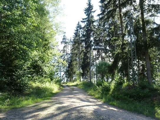 Freistehendes Ferienhaus auf eigenem Waldgrundstück