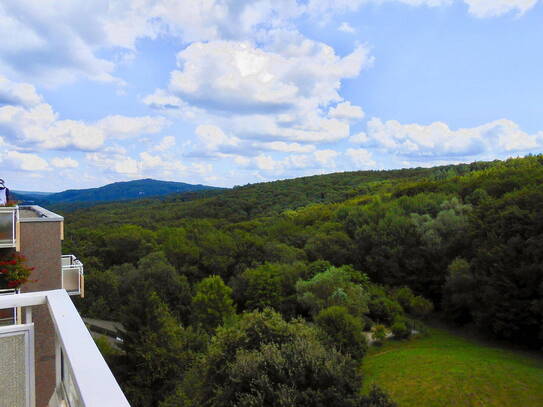 Von privat: traumhafte 4-Zi.-Wohnung in Waldrandlage mit Blick über den Taunus