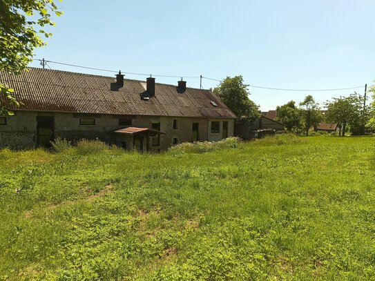 Bauernhaus,Scheune,Einliegerwohnung,Wiese,Balkon,teilsaniert,keine versteckten Kosten bei Kauf.