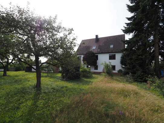 3 Grundstücke in Altdorf-Ziegelhütte