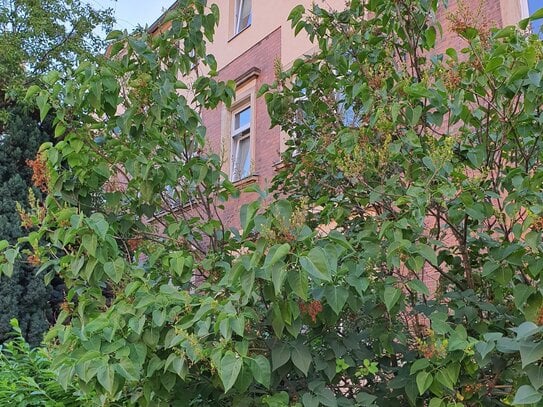 helle 3 Raum Wohnung mit schönem Grundriss zzgl. Gartenanteil ! Garage oder Stellplatz möglich