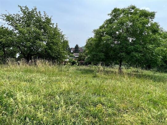 Baugrundstück für ein Einfamilienhaus mit max. 2 Wohneinheiten in Salem-Rickenbach am Bodensee