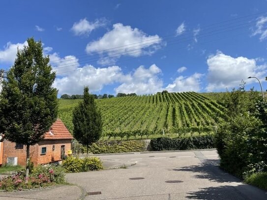 Einfamilienhaus in Traumlage mit großem Garten