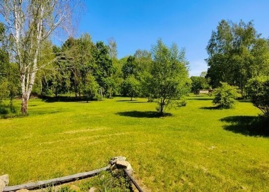 Schöne, helle 1-Raumwohnung im Grünen 35m² Wasserwerk Senftenberg Dachgeschoss