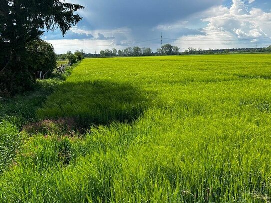 Ackerland landwirtschaftliche Fläche im Lechfeld