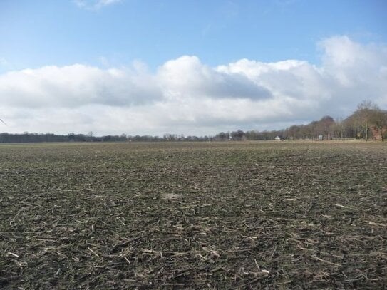 3,59 ha Ackerlandverkauf in 49626 Bippen, OT Vechtel