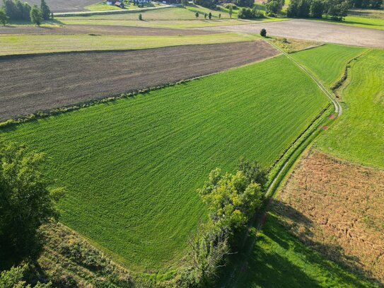 4,5 ha landw. Fläche/Acker in Uttlau mit sehr guter Bodenqualität