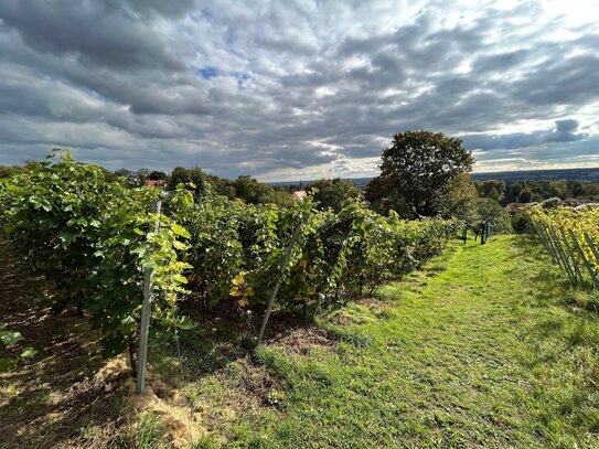 Naturnahes Wohnen inmitten der Radebeuler Weinberge