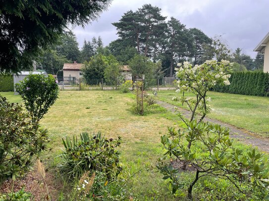 Traumhaftes, helles Grundstück in ruhiger Lage von Strausberg/ Gartenstadt