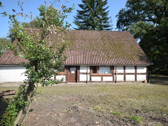 Sanierungsbedürftiges Bauernhaus mit traumhaftem Grundstück und altem Baumbestand