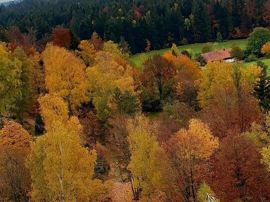 35.000 m² Grundstück im Zentrum von Spiegelau