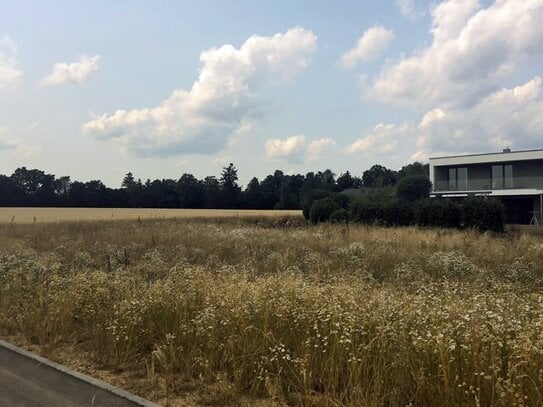 Schöner Wohn-Bauplatz in Ortsrandlage von Eschach, angrenzend an Felder, im Erbbaurecht zu vergeben