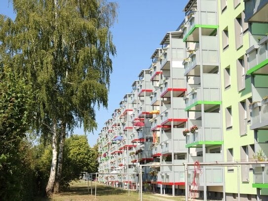 4-Raum-Wohnung mit Blick ins Grüne