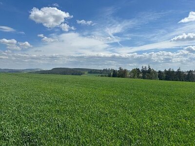 Landwirtschaftlicher Besitz im östlichen Thüringen - Angebot Nr. 5326 (Alleinauftrag)