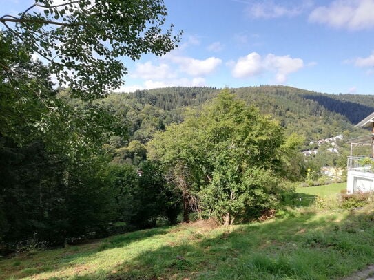 Frühling, Herbst, & Winter: Schönes Baugrundstück mit toller Aussicht