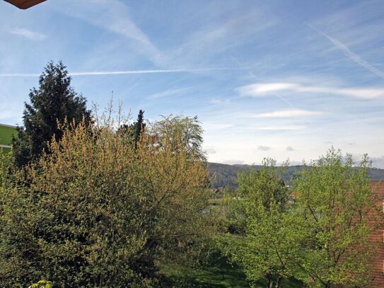 Bad Harzburg Süd/Westbalkon mit Weitsicht helle 2 Zimmer Wohnung