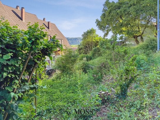 Schönes Grundstück für ein Einfamilienhaus in Hanglage mit Blick