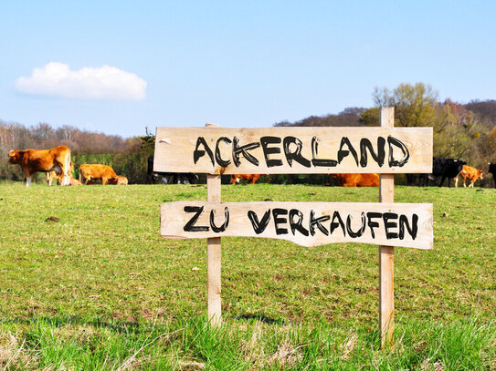 ca. 7 ha Ackerland in Friesoythe zu verkaufen