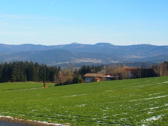 Mit der Natur auf Du und Du! Idyllisch gelegener Bungalow, südöstlich der Stadt Viechtach, Bay.Wald