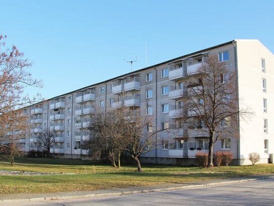 3-Raum-Wohnung am Dschungelspielplatz