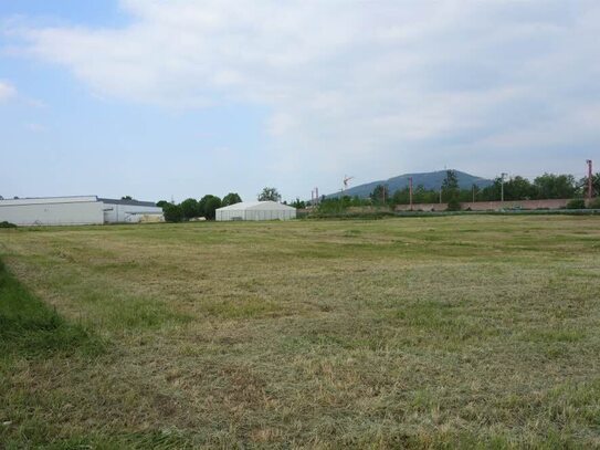 Großzügiges Grundstücksareal in bevorzugtem Gewerbegebiet