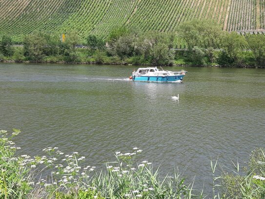 Winzer Anwesen in den Weinbergen gelegen mit Fewo und Apartment