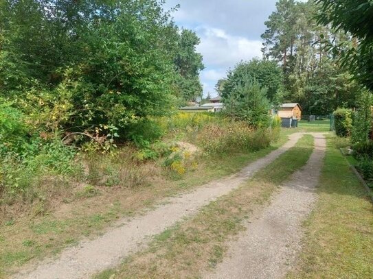 schönes Baugrundstück in gemütlicher Umgebung - Werneuchen