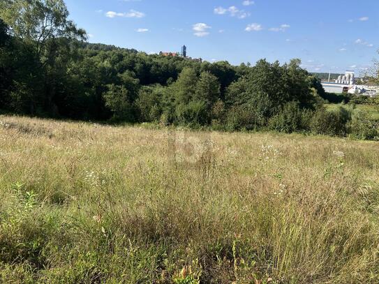 MIT BLICK ZUR BURG VELDENSTEIN