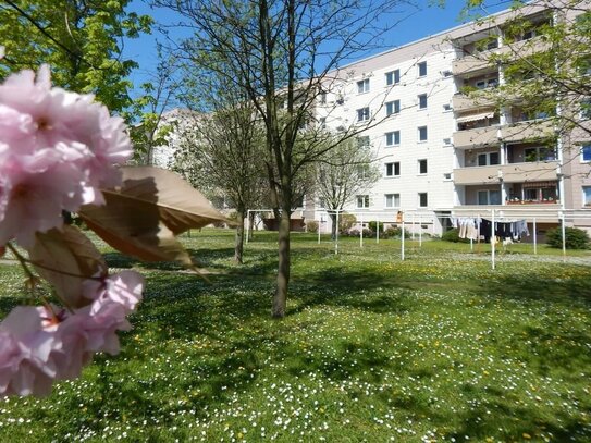 Top renovierte 3-Raum-Wohnung