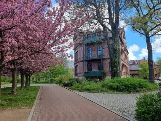 Großzügige Wohnung mit Balkon und Blick in den Park!