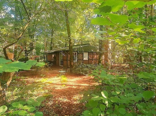 *#*OHNE PROVISION*#*TRAUMGRUNDSTÜCK IM WALD + KLEINES HAUS*NUR 30 MIN. BIS ELBBRÜCKEN *#*