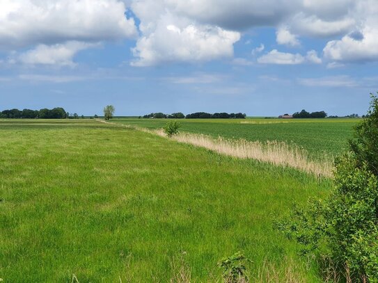 Baugrundstück vollerschlossen, sofort bebaubar ohne Bindung, z.B. für Ihr Feriendomizil 1500m zum Nordseedeich