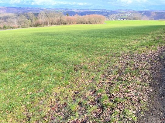 Grünland, Ackerland und Wald in Windeck